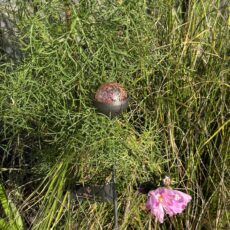 5061098720435 1 Small Marble Suncatcher Garden Stake Ornament Princess.jpg